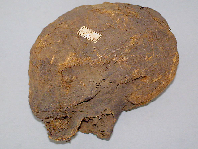 Left lateral view of Mummy skull no. 24. Wrappings and skin are in good condition but show some slight insect attack. Photograph by J. Harbort
