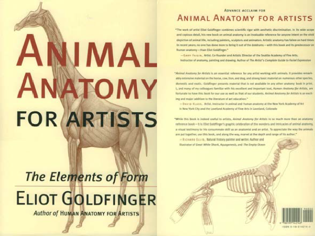 Animal anatomy for artists