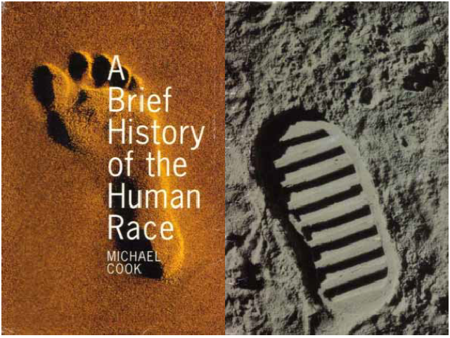 A brief history of the human race
