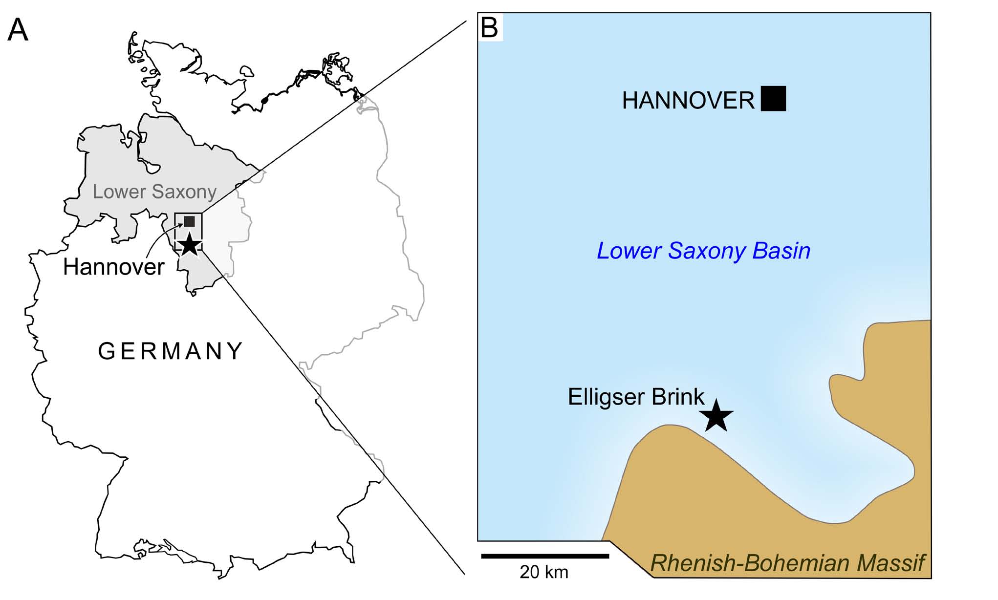 A) Location of the Elligser Brink locality in the Hils mountains (asterisk) of southern Lower Saxony (frame); B) Palaeogeography of southern Lower Saxony during the Hauterivian (after Mutterlose, 1984), indicating the near-shore position of the Elligser Brink.